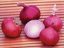 150 Red Creole Onion Seeds - Seed World