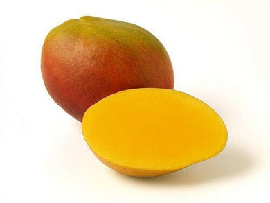 2 Mango Fruit Tree Seed - Seed World