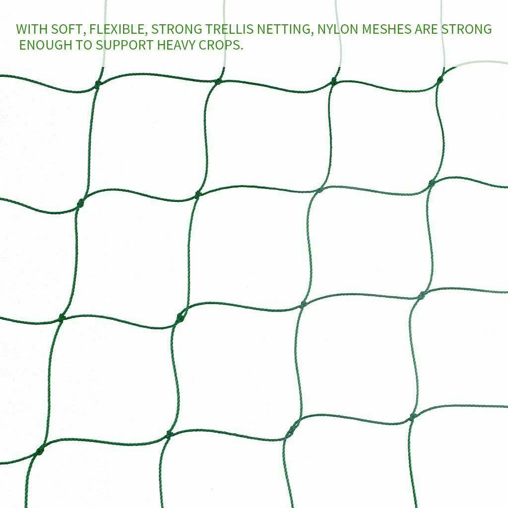 2 Pack Garden Plant Climbing Net Trellis Netting Mesh Support Fruits Vine Veggie - Seed World
