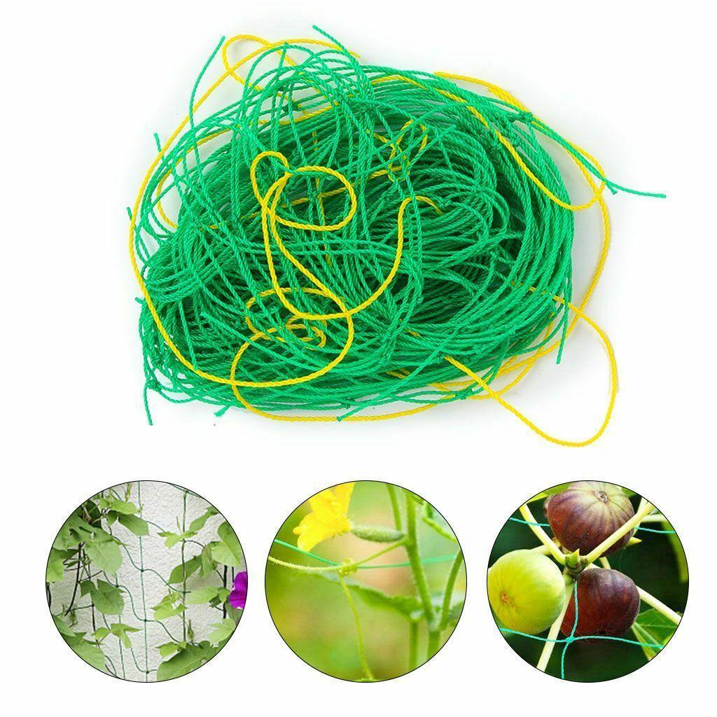 2 Pack Garden Plant Climbing Net Trellis Netting Mesh Support Fruits Vine Veggie - Seed World