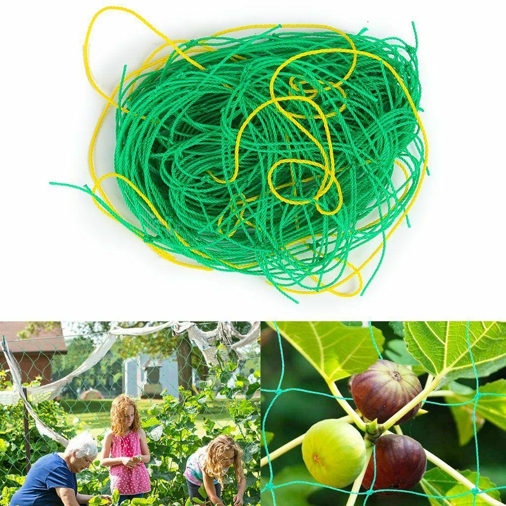 2 Pack Garden Plant Climbing Net Trellis Netting Mesh Support Fruits Vine Veggie - Seed World