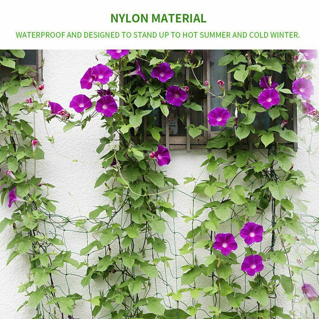 2 Pack Garden Plant Climbing Net Trellis Netting Mesh Support Fruits Vine Veggie - Seed World
