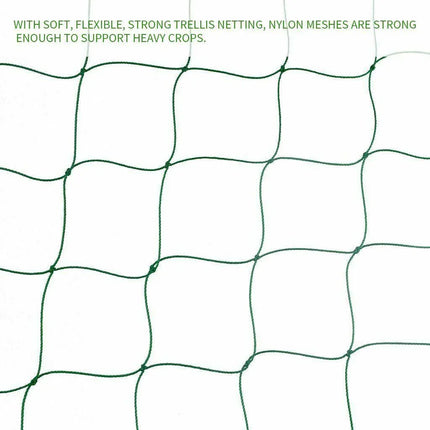 2 Pack Garden Plant Climbing Net Trellis Netting Mesh Support Fruits Vine Veggie - Seed World