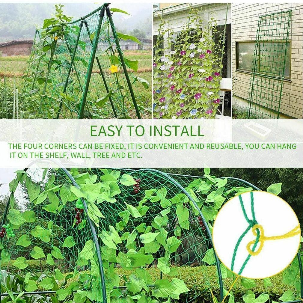 2 Pack Garden Plant Climbing Net Trellis Netting Mesh Support Fruits Vine Veggie - Seed World