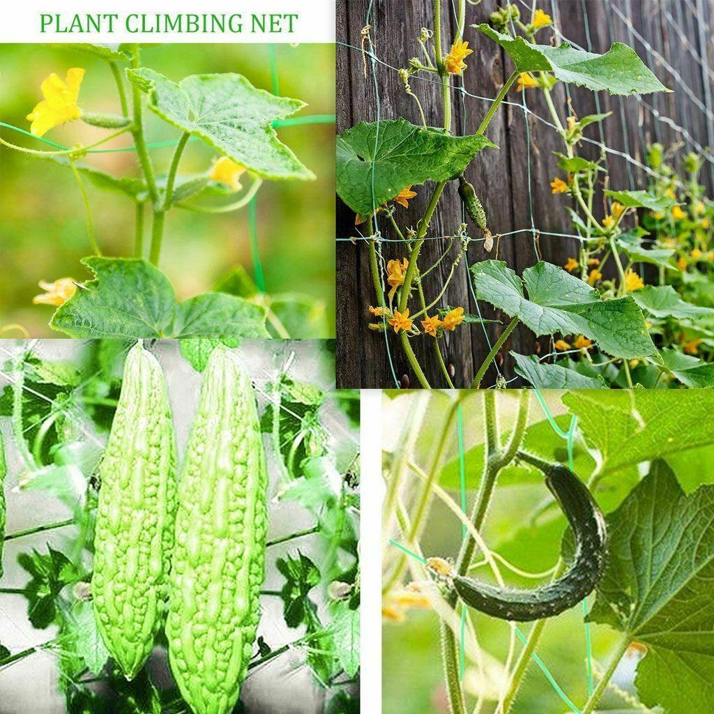 2 Pack Garden Plant Climbing Net Trellis Netting Mesh Support Fruits Vine Veggie - Seed World