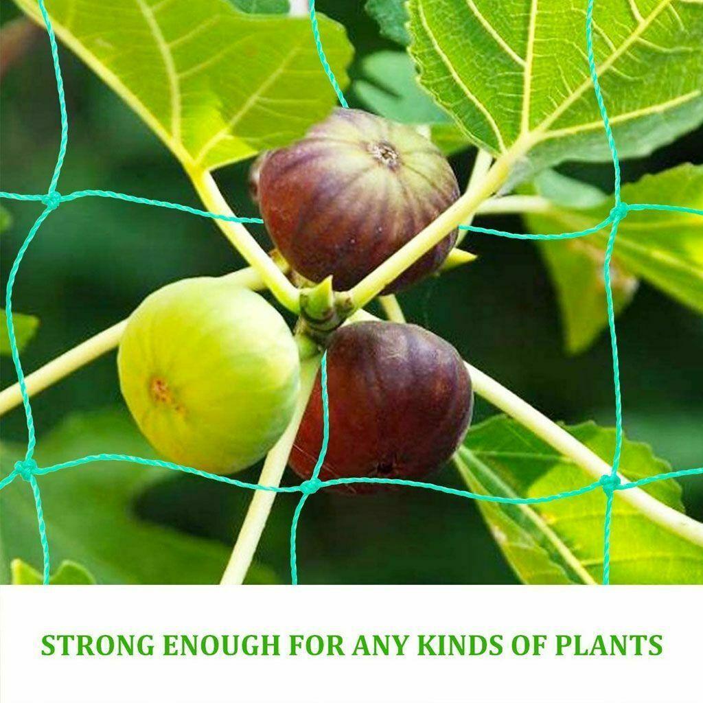 2 Pack Garden Plant Climbing Net Trellis Netting Mesh Support Fruits Vine Veggie - Seed World