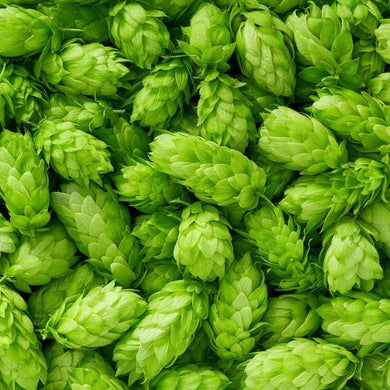 20 Common Hops Seeds - Seed World