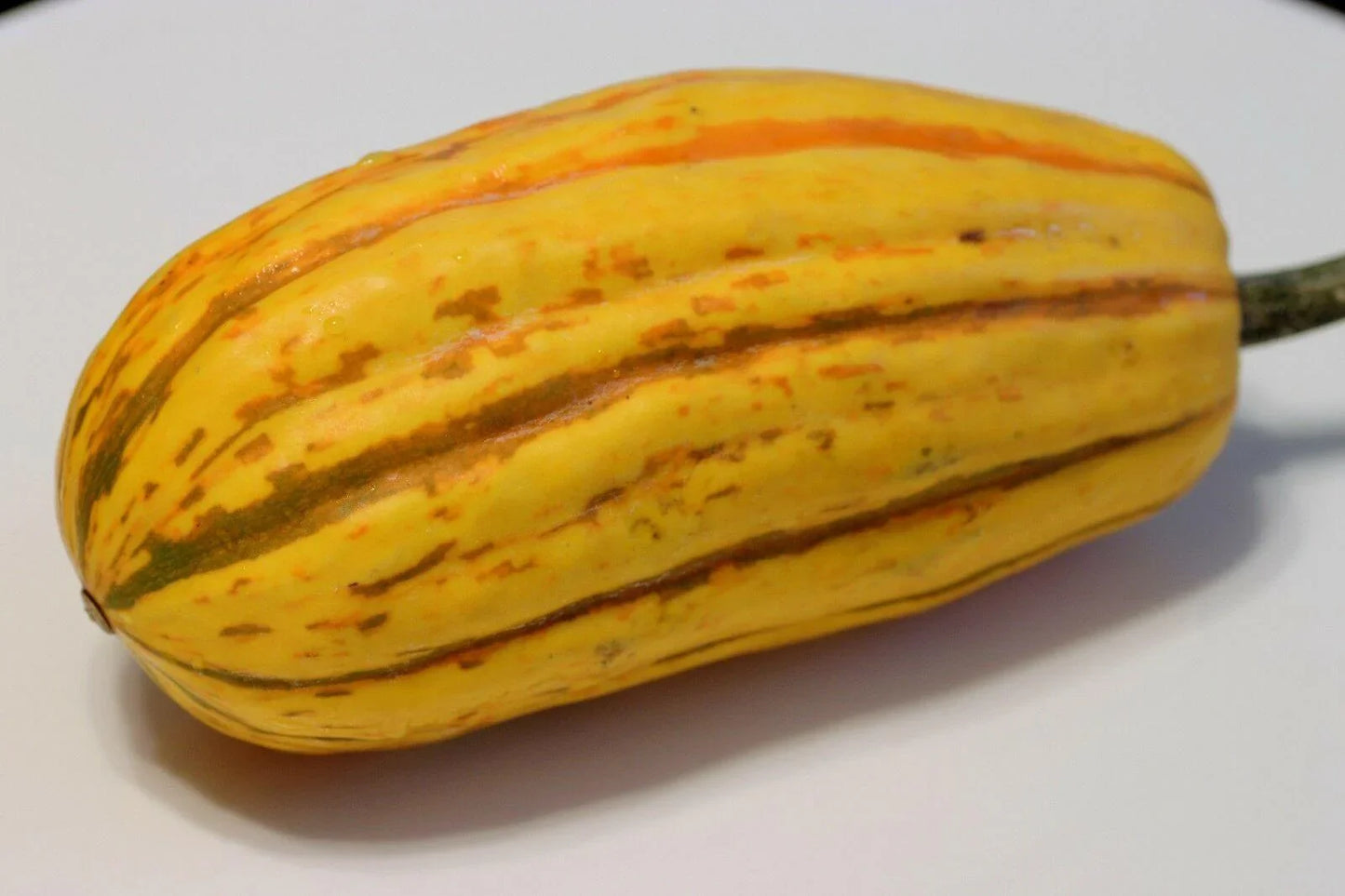 20 Delicata Squash Seeds - Seed World