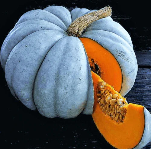 20 Jarrahdale Blue Pumpkin Seeds - Seed World
