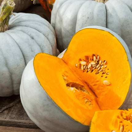 20 Jarrahdale Blue Pumpkin Seeds - Seed World