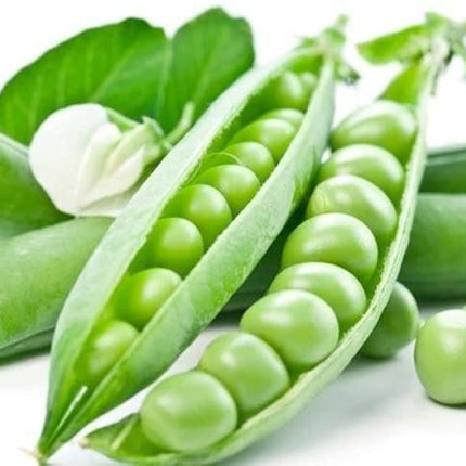 20+ Little Marvel Pea Seeds - Seed World