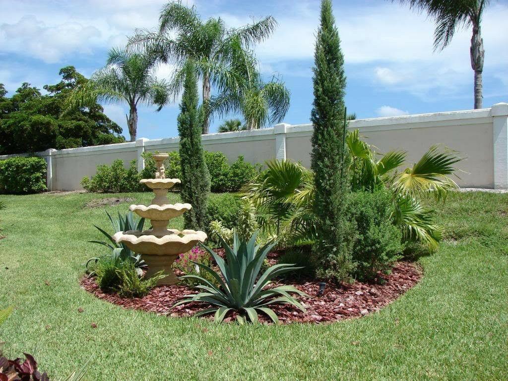 20 Mediterranean Cypress Tree Seeds - Seed World