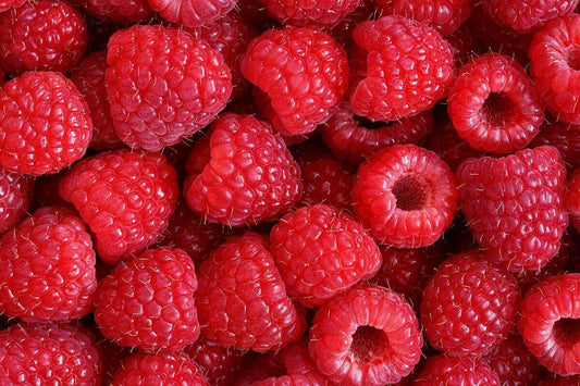 20 Raspberry Seeds - Seed World