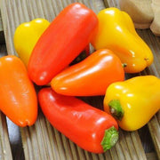 20 Sweet Mini Bell Pepper Seeds - Seed World