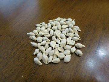 Tangerine Citrus Tree Seeds for Planting
