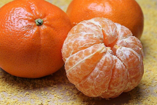 20 Tangerine - Mandarin Orange Citrus Fruit Tree Seeds - Seed World