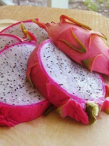 20 White Dragon Fruit (Cactus) Seeds – Pitaya Exotic Edible Cactus - Seed World