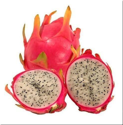 20 White Dragon Fruit (Cactus) Seeds – Pitaya Exotic Edible Cactus - Seed World