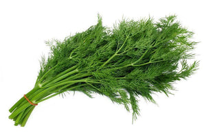 200 Bouquet Dill Seeds - Seed World