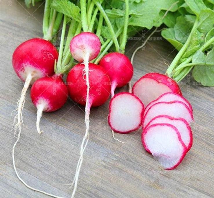 200 Organic Crimson Giant Radish Seeds – Heirloom | NON-GMO - Seed World