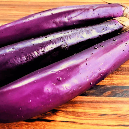 200 Purple Shine Chinese Eggplant Seeds - Seed World
