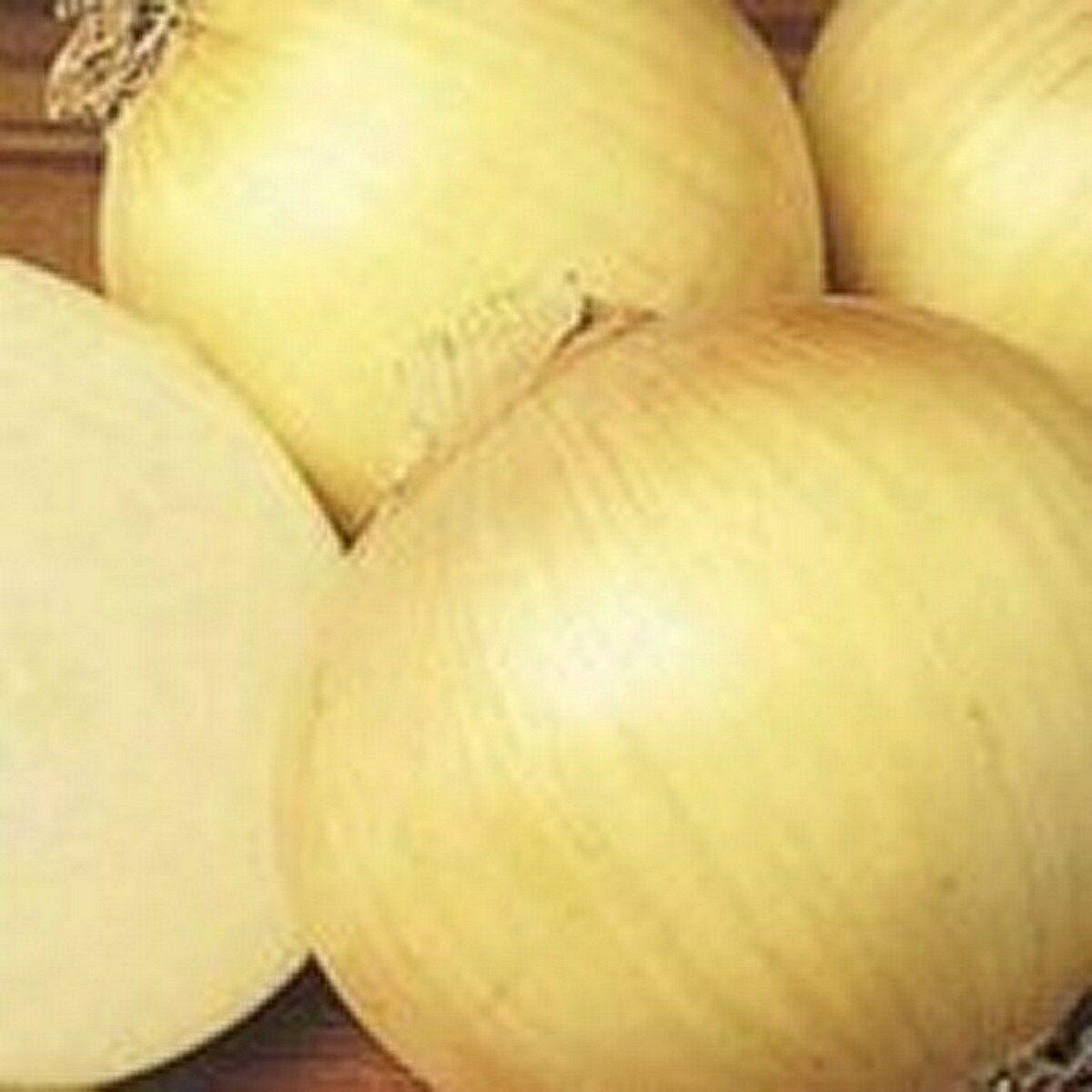 250 Yellow Sweet Spanish Onion Seeds - Seed World