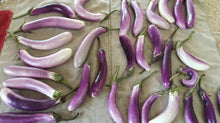 25 Bride Eggplant White & Purple Fruit Seeds - Seed World