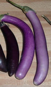 25 Bride Eggplant White & Purple Fruit Seeds - Seed World