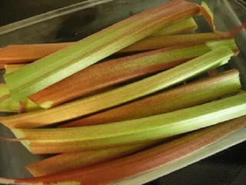25 Glaskins Perpetual Rhubarb Pieplant Seeds - Seed World