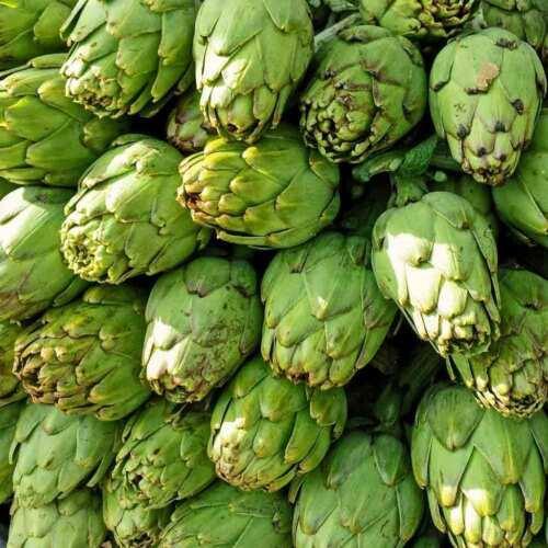 25 Green Globe Artichoke Seeds - Seed World