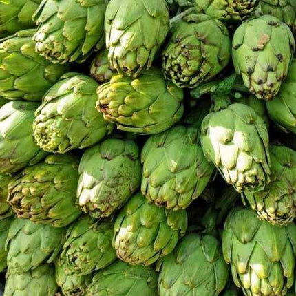 25 Green Globe Artichoke Seeds - Seed World