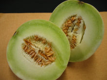 25 Honeydew Melon Seeds | NON-GMO - Seed World
