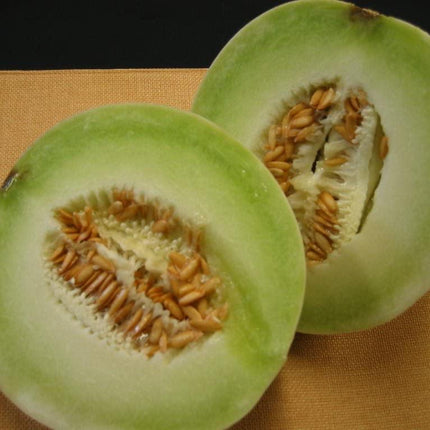 25 Honeydew Melon Seeds | NON-GMO - Seed World