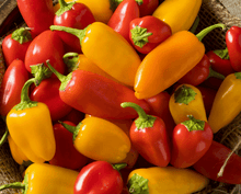 25 Lunchbox Sweet Snacking Pepper Seeds - Seed World