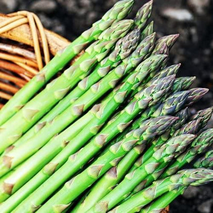 Green asparagus spears on a woven basket with a dark background