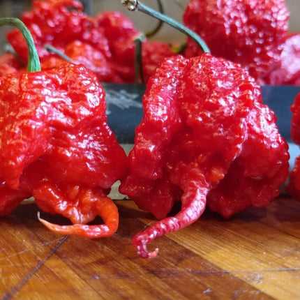 25 Super Hot Carolina Reaper Seeds - Seed World