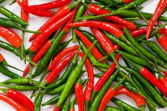 25 Super Hot Thai Premium Pepper Seeds - Seed World