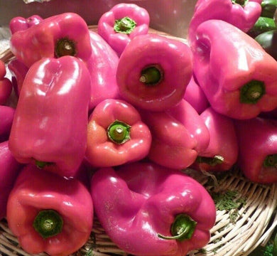 25 Sweet Bell Peppers Seeds | Garden Fresh Healthy Planting - Seed World