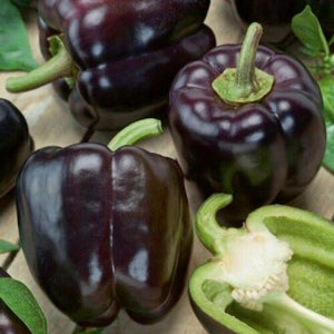 25 Sweet Bell Peppers Seeds | Garden Fresh Healthy Planting - Seed World