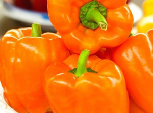 25 Sweet Bell Peppers Seeds | Garden Fresh Healthy Planting - Seed World