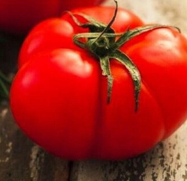 250 Beefsteak Tomato Seeds - Seed World