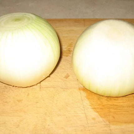 250 Eclipse Onion Seeds - Seed World
