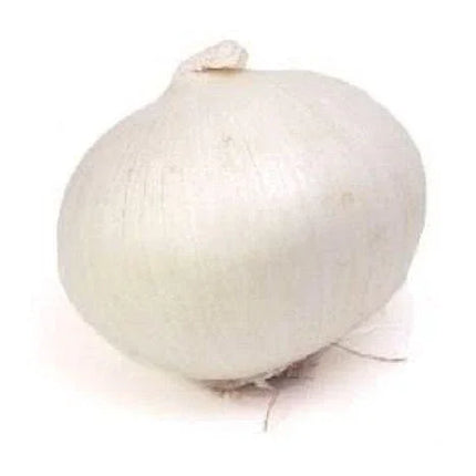 250 Eclipse Onion Seeds - Seed World