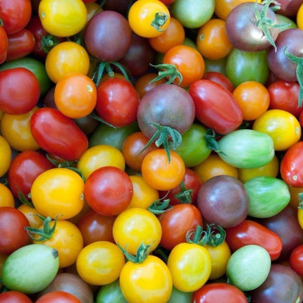 250 Rainbow Cherry Tomato Seeds - Seed World