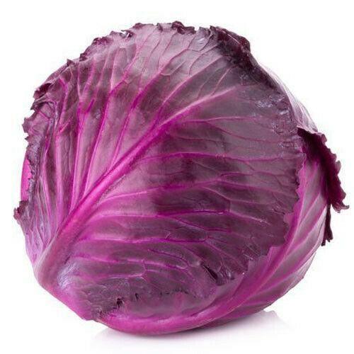 250 Red Acre Cabbage Seeds - Seed World