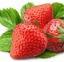 250 Red Climbing Strawberry Seeds - Seed World
