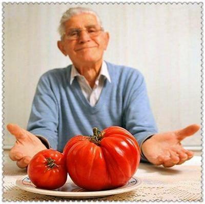 30 Giant Oxheart Tomato Seeds - Seed World