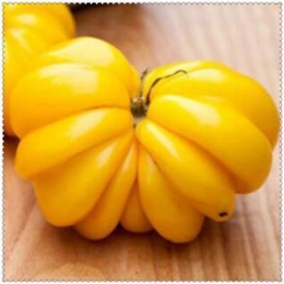 30 Giant Oxheart Tomato Seeds - Seed World