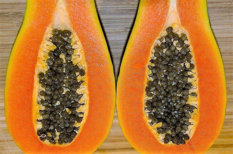 30 Papaya Fruit Tree | Carica Papaya Seeds - Seed World