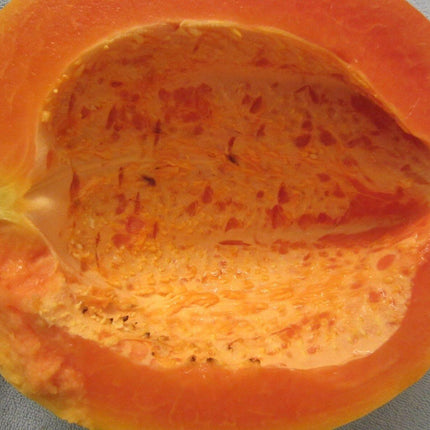 30 Red Papaya Seeds - Seed World